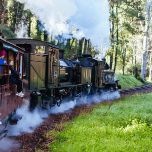 Half-Day Puffing Billy Tour