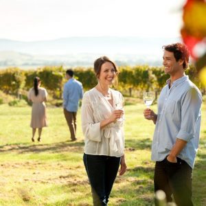 Yarra Valley and Dandenong Ranges