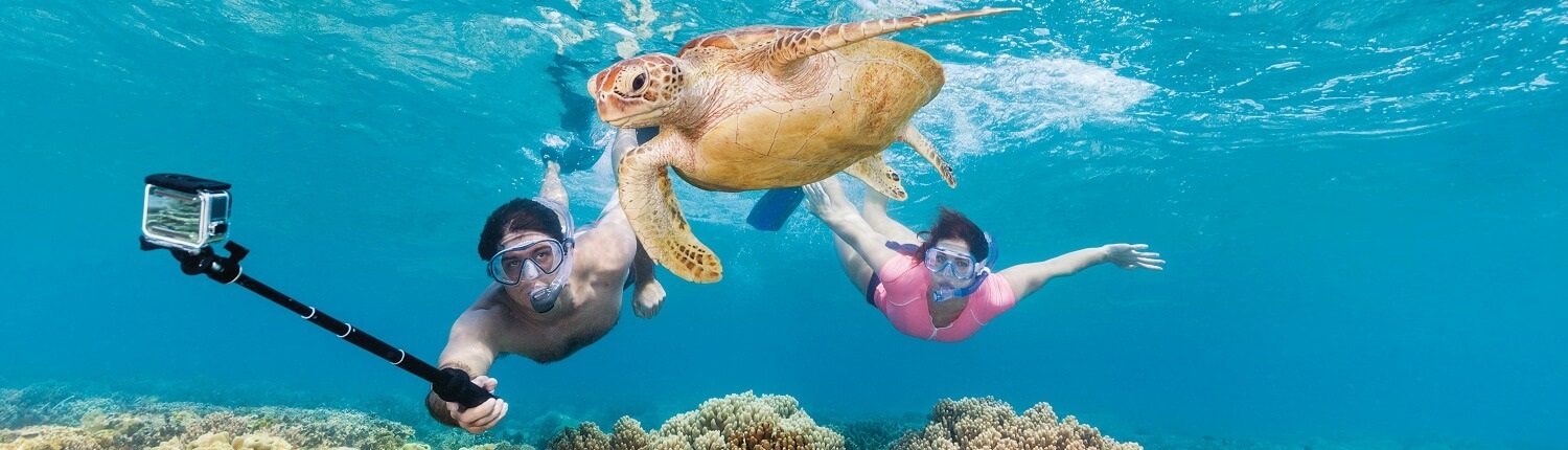 Great Barrier Reef Premium Snorkelling Tour