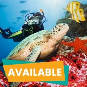 2 Day Great Barrier Reef Liveaboard Tour