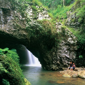 1 Day Natural Arch and Springbrook Tour