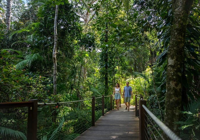 Rainforest Boardwalks