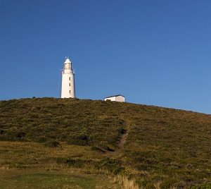 Bruny Island, Lighthouse and Lunch Tour