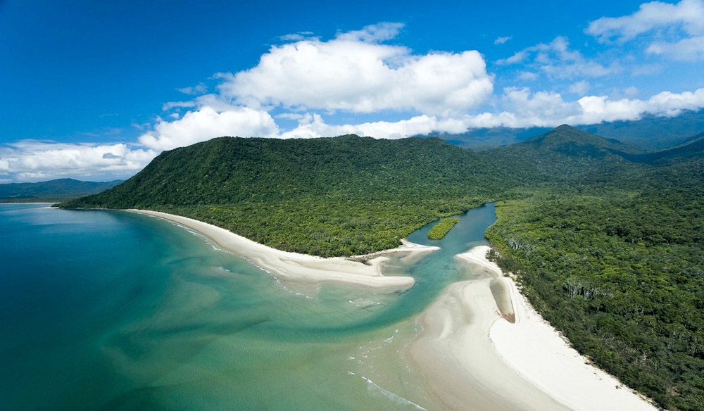 How is the Daintree rainforest being protected?