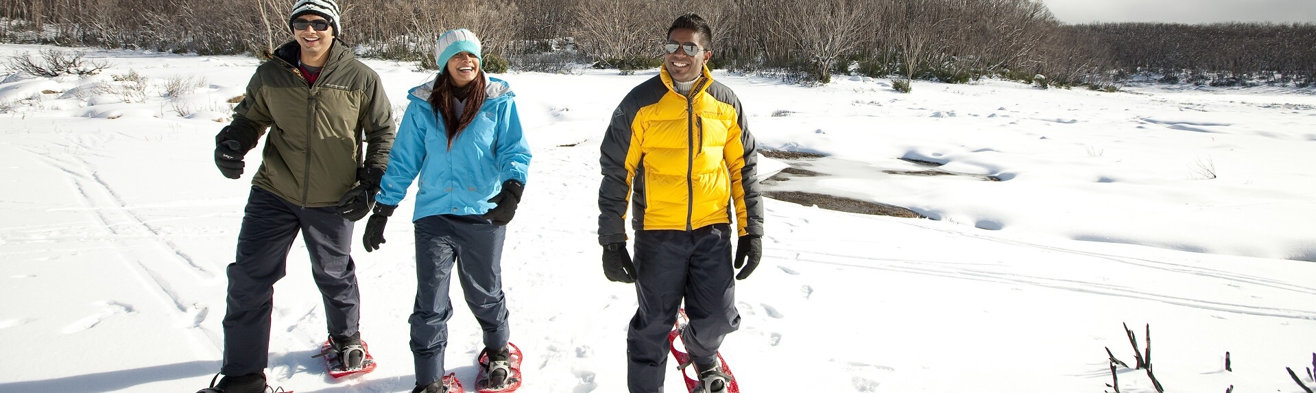 Lake Mountain Snow Tour