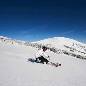 Mount Buller Snow Tour - Return on a Different Day