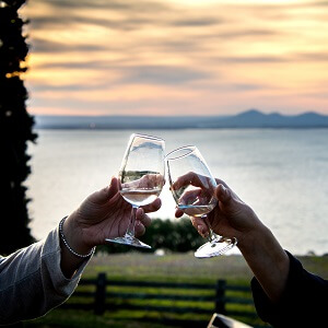 Around the Bay Food & Wine Lovers Tour