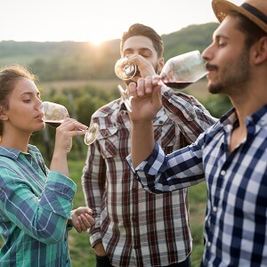 Hunter Valley Wine Tour From Sydney