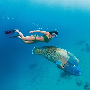 Cairns Tours Package