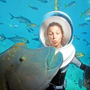 Great Barrier Reef Pontoon Adventure