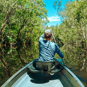 Noosa Everglades Cruise or Canoe Tour