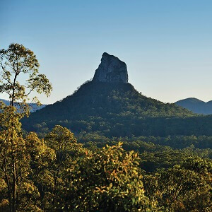 Sunshine Coast Hinterland & Noosa Tour