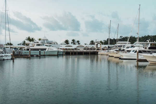 Cairns Public Transport