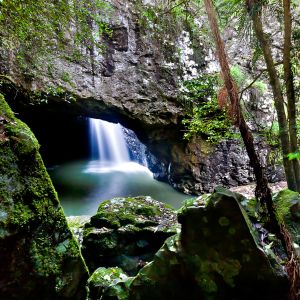 1 Day Natural Arch and Springbrook Tour
