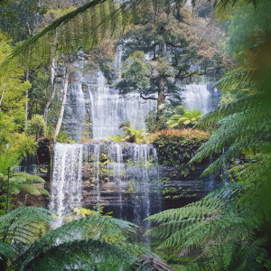 10 Day Tasmania Tour