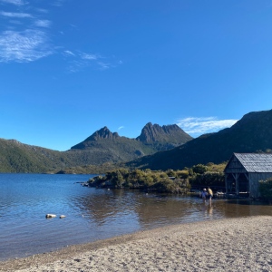 Cradle Mountain Day Tour from Launceston