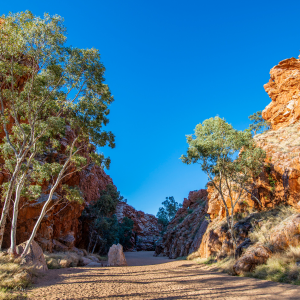 3 Day Darwin to Alice Springs Tour