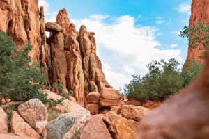 Alice Springs Tours - 3