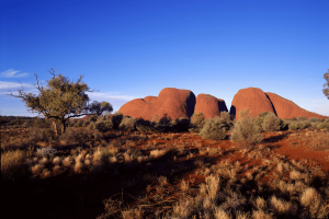 Alice Springs Tours - 6