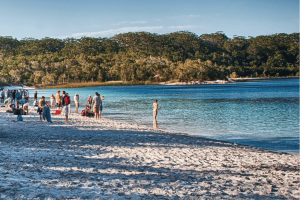 Noosa and Fraser Island Tours - 3
