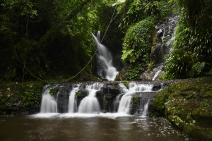 Brisbane and Gold Coast Tours - 1