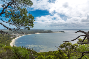 Port Stephens Tours - 6