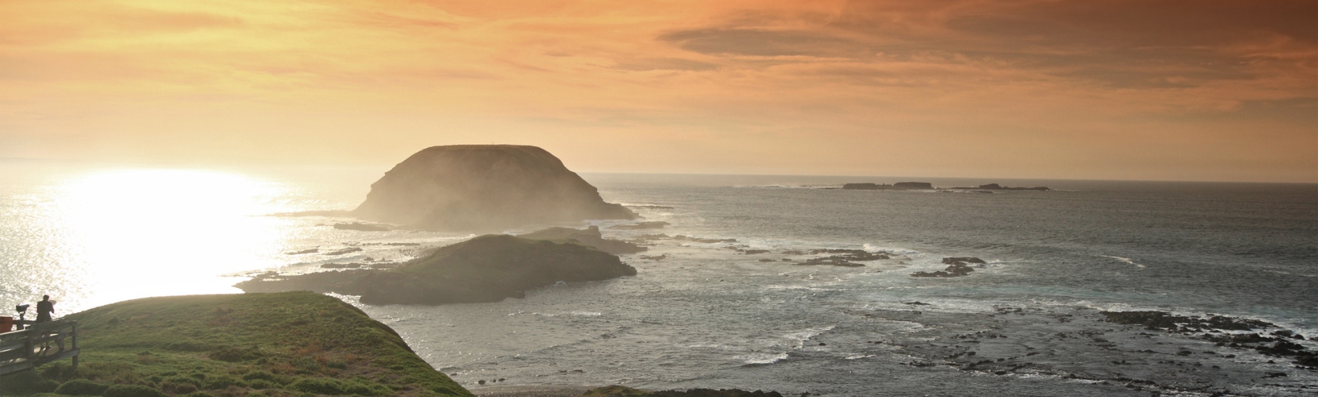 1 Day Phillip Island Deluxe Tour