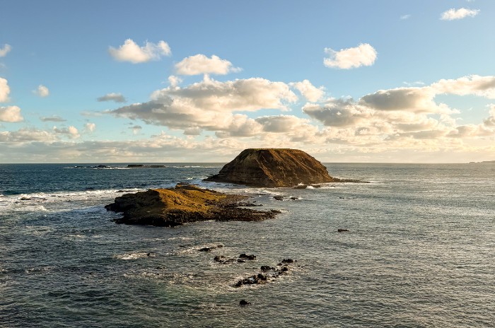 Seal rock at the Nobbies
